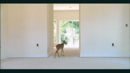 miguel ángel martínez