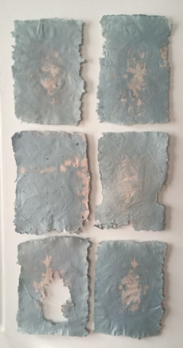 miguel ángel martínez